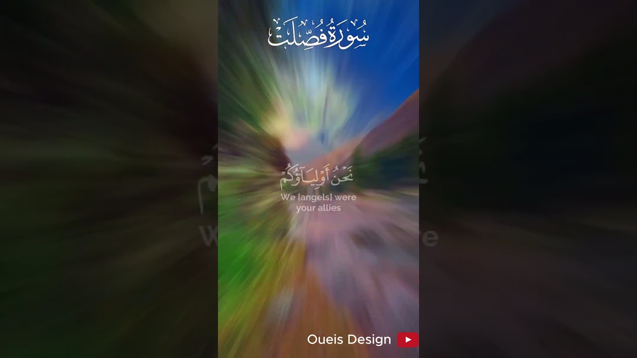 تلاوة مليئة بالهدوء للشيخ ناصر القطامي حفظه الله