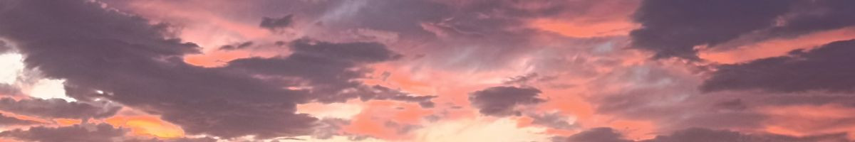 101546411092448977672 