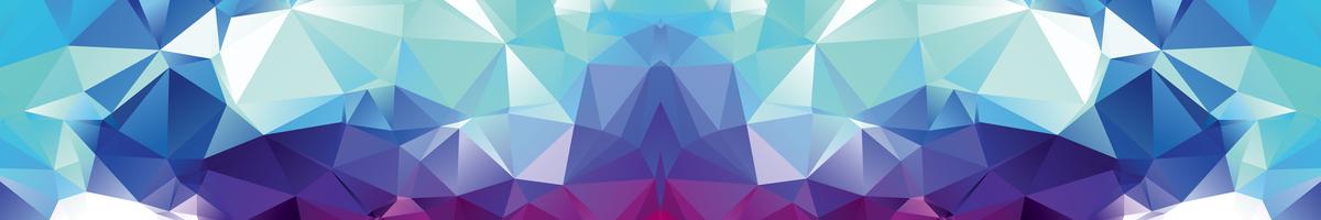 شعيب العلمي 